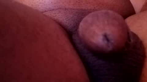 bcfalcon69 online show from 02.13.26