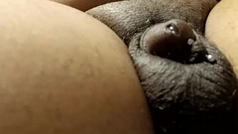 bcfalcon69 online show from 02.24.26