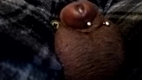 bcfalcon69 online show from 02.26.26