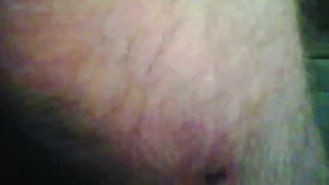 beanwright26 online show from 11.15.25