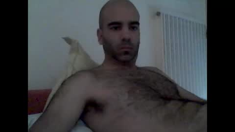 bear14250949 online show from 10.19.25