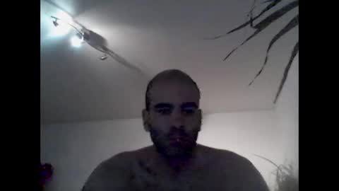 bear14250949 online show from 12.21.25