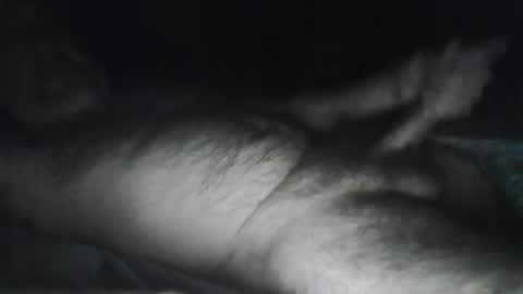 beastiejam2000 online show from 01.31.25