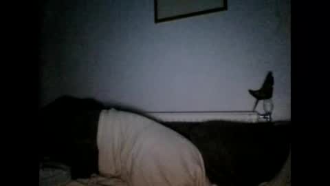 Snapshot of beatlebut chatting on 10.01.25 beatlebut online show from 10.01.25