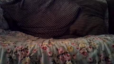 Snapshot of beatlebut chatting on 10.16.25 beatlebut online show from 10.16.25