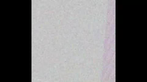 hungnheavy online show from 11.01.25