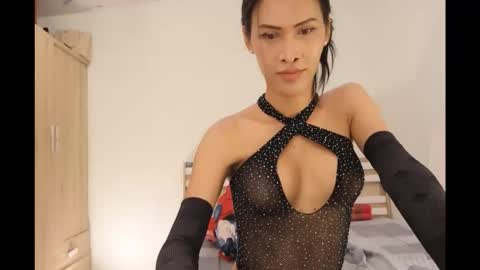 bee_thai online show from 10.12.25