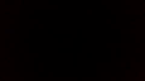 beef_sperm online show from 02.14.26