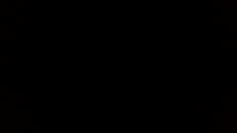 beef_sperm online show from 02.22.26