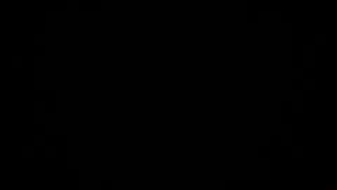 beef_sperm online show from 04.26.26