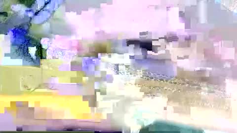 beencee2 online show from 03.09.26