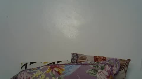 Snapshot of beeswee chatting on 12.19.24 beeswee online show from 12.19.24