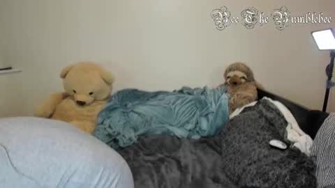 Bee online show from 02.24.26