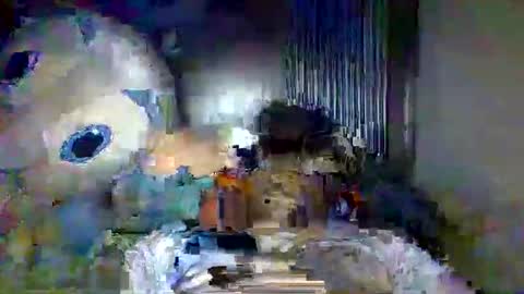 Xi online show from 05.20.26