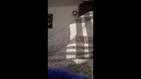 belcebu472402 online show from 11.02.25