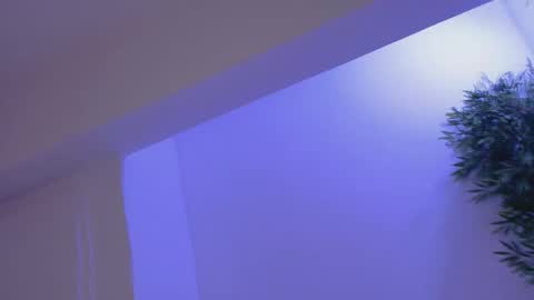 Bella online show from 02.19.26