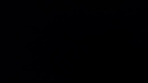 Bella online show from 12.03.25