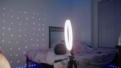 Bella Monroe online show from 02.19.25