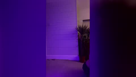 bellaxlauren online show from 02.11.26