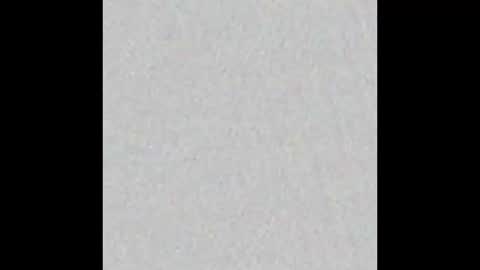 Bella online show from 02.19.26