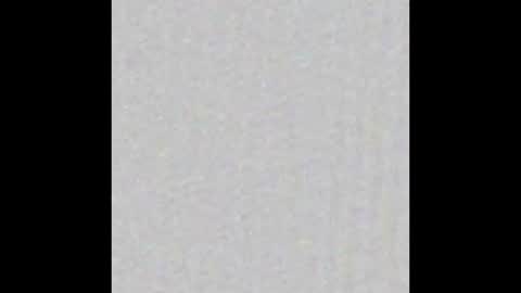 Bella online show from 02.26.26