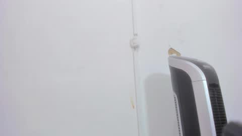 Bellota Flak online show from 12.30.24