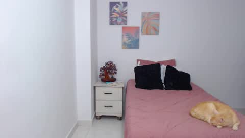 benny online show from 01.29.25