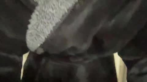 READ MY BIO ---  --- READ MY BIO online show from 03.07.25