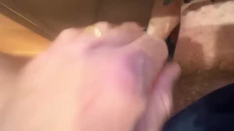 bernie47161 online show from 11.14.25