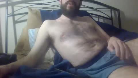 bibotguy online show from 12.07.24