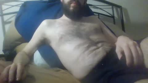 bibotguy online show from 12.08.24