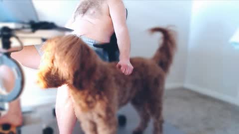 Snapshot of bigbadwolfbulge chatting on 02.25.26 Alcide Herveaux online show from 02.25.26