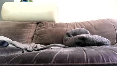 bigboadick online show from 10.31.25