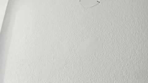   online show from 03.18.26