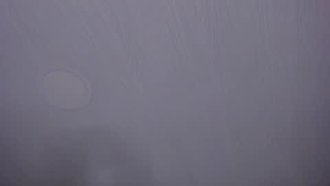   online show from 04.07.26