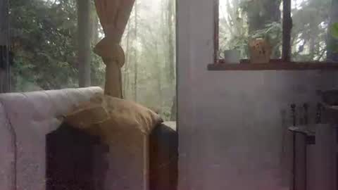 Snapshot of bigbossforsirius chatting on 12.01.24 bigbossforsirius online show from 12.01.24