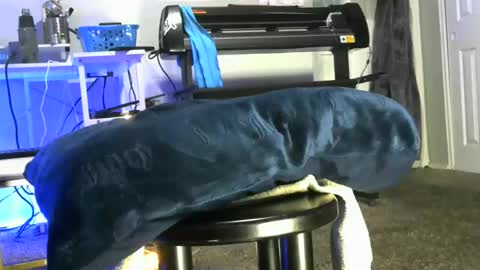 bigboybigbutt69 online show from 05.06.26