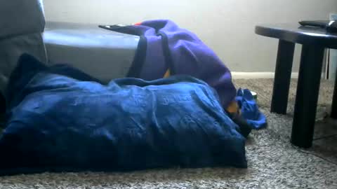 bigboybigbutt69 online show from 05.25.26