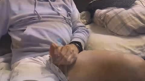 Snapshot of bigboytoy_12 chatting on 03.03.25 L e g a l S t u f f Any UNAUTHORIZED use of this profile video pictures or audio in any form or in a forum now or in the fu online show from 03.03.25