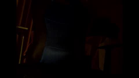 bigbro0007 online show from 11.25.25