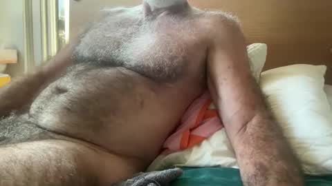 big bush online show from 03.11.26