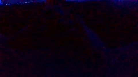 Hunny online show from 12.11.24