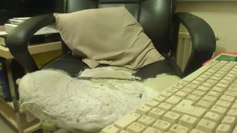 bigcurve online show from 01.30.25