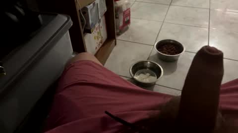 Snapshot of bigdaddy24569 chatting on 03.25.26 bigdaddy24569 online show from 03.25.26