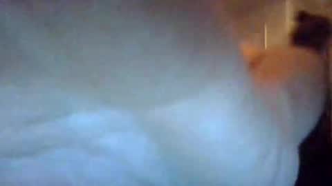 bigdickdaddy7201979564868 online show from 09.22.25