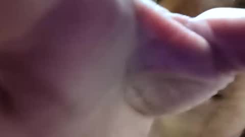 Snapshot of bigdickdaddy7201979564868 chatting on 06.10.26 bigdickdaddy7201979564868 online show from 06.10.26