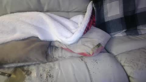 Snapshot of bigdicktrannynicole chatting on 01.21.25 bigdicktrannynicole online show from 01.21.25