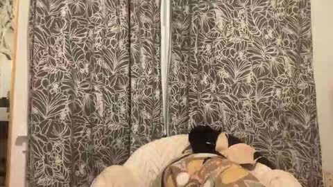 Snapshot of bigdickwalkin chatting on 02.15.26 bigdickwalkin online show from 02.15.26