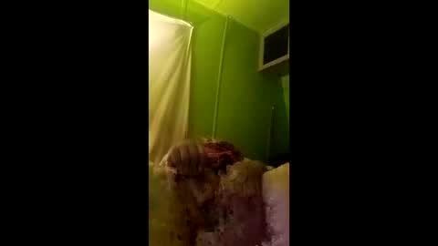 Snapshot of bigdog9thick chatting on 04.29.26 bigdog9thick online show from 04.29.26