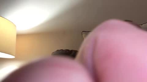 Snapshot of biggloves4bighands chatting on 11.16.25 biggloves4bighands online show from 11.16.25